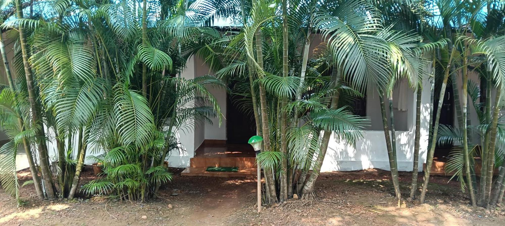 Casa Beach Hut Resort Palolem Buitenkant foto